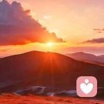 正心正念的头像