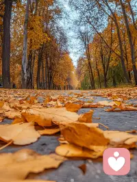 只有相同频道的人，才会喜欢这种感觉吧！配图