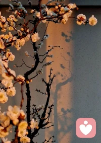 未开悟的人，总喜欢用自己的认知去丈量，批判其他人的认知配图