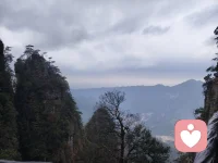 - 你不是矫情，你只是真的受伤了。