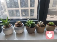 不是每个人都喜欢孤独，但有一部分人能对抗孤独