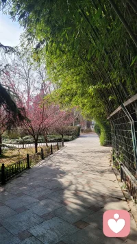 所以长久的关系，本质上都是两个有良心的人，在相互报恩配图
