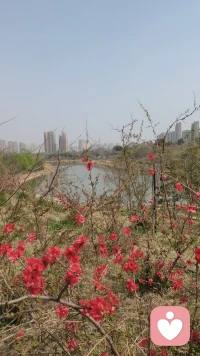 谨慎的拥有，谨慎的使用，勇敢的放弃配图