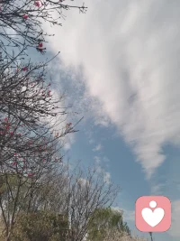 当你不害怕孤独，自由就悄悄发生了配图