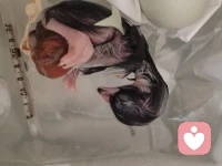 尊重每只青蛙和TA的井，不用给TA搭梯子，劝TA出来,也不要搭梯子，自己下井陪TA，TA观TA的天，你看你的海配图