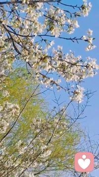 你不会失去真正的朋友，你失去的是虐待者，操控者，自恋狂…配图