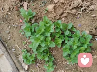 你走上不一样的路时，你才能看到和别人不一样的风景