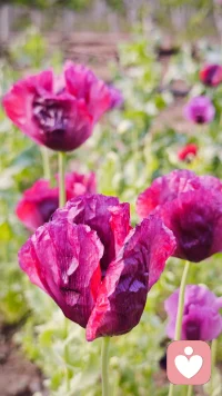 所有属于自己内心的选择，都是勇敢的