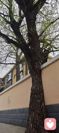 所有煎熬，都是为了让你慢慢变得柔软强大