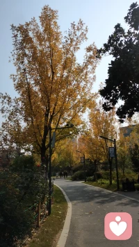 钱，够花就好，房，够住就行。
多少人，一辈子为钱所困，为房所累。
拼命赚钱，却忘了享受生活。
拼命买房，却忘了家需要温度。钱多了，烦恼也多。
房子大了，寂寞也大。其实，幸福从来不在于拥有多少，而在于计较多少。配图