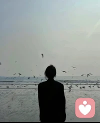 我在这里安静等你，做你情绪里的温柔渡口，不必勉强快乐，不必假装坚强，你可以卸下所有防备，允许脆弱与迟疑，慢慢流淌，我认真倾听，温柔承接，陪你梳理心事，接住你的所有情绪碎片，让每一份心绪都被妥帖安放配图