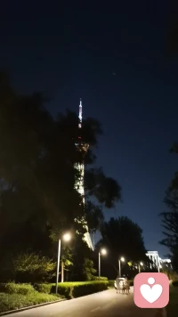 温柔从不喧嚣，陪伴自有力量。
认真对待每一份情绪，用心倾听每一段故事，
治愈过往，奔赴温柔配图
