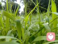 有人问我：“什么是世界”？我说：“世界就是你自己”你在，世界就在！你不在，世界就消失了！所以，不念过往，不畏将来，活好当下！好好的爱自己！配图