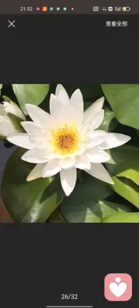 春有百花秋有月，夏有凉风冬有雪，若无闲事挂心头，便是人间好时节！配图