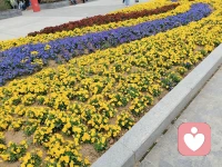 倾听是无声的温柔，接住别人所有的情绪碎片。
万事万物皆有灵，只是太多的社会世俗让我们身心按了暂停键，忘了灵魂归处，愿你我皆可找到本我找到活着的意义。