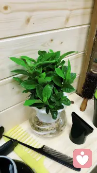 好的婚姻，是给女人遮风挡雨的屋檐；
坏的婚姻，是给女人带来所有风雨的源头。
婚姻本身不重要，和谁结婚才重要。
遇对了人，婚姻是天堂；遇错了人，婚姻就是一场漫长的自我消耗。配图
