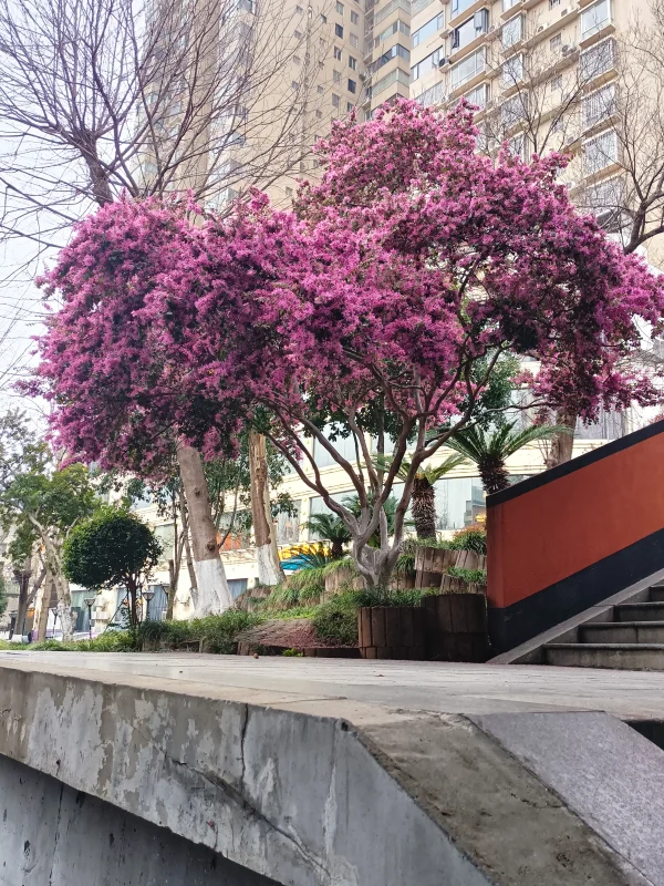 予你安心，听你所言，懂你未说