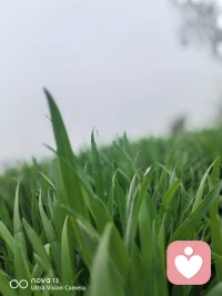 人所有奇怪，极端，反常的行为，都是自己在内心呐喊！我一直都在