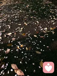 昨晚十一点，你发誓只看五分钟手机。结果呢？一抬头，凌晨一点了。

眼睛酸涩，心里却空落落的，好像这一天还没过完，不舍得结束。你刷着无聊的视频，点开又划走，像个不想回家的孩子。明明知道明天会后悔，但这一刻，就是不想面对“结束”的感觉。

手机屏幕的光映在脸上，你突然有点恍惚：到底是不想睡，还是不敢睡？

——也许，只是舍不得今天彻底消失。