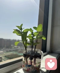 万物皆不完美，人生总有缺憾。
喜欢就争取，得到就珍惜，失去就忘记。
别给情绪添加滤镜，健康快乐即顶配。
敬岁月，敬自由，敬千万次缝补生活的自己。配图