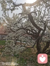 我们总忙着照顾身边的人、做好手头的事，却常常忘了问问自己：你最近，真的开心吗？
 
心情就像天气，有晴有阴很正常。不必因为偶尔低落就责怪自己，也不用逼着自己时刻乐观坚强。
 
累了就歇一歇，委屈了就说出来，焦虑了就慢慢梳理。不用讨好所有人，更不用勉强自己硬扛。
 
真正的心理健康，不是永远快乐，而是学会接纳所有情绪，好好拥抱自己。
 
愿你往后，不慌不忙，自在舒心，心里有光，眼里有暖。配图