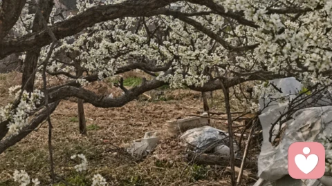 别再压抑自己，好好释放情绪，才是对自己最好的温柔