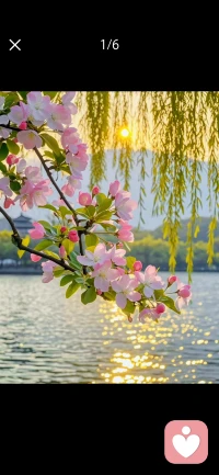 生活从不在别处，就在这一粥一饭、一朝一暮之间。以平常心对世事，以柔软心过日子，晨起有光，心中有爱，所行皆暖，所遇皆安。
 
新的一天，愿你从容、清澈、明亮，不负晨光，不负自己。配图