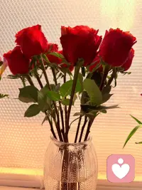 岁月带走了纯真，时光苍老了容颜，想说的话越来越少，放在心里的话越来越多，能改变的去改变，不能改变的去适应，不能适应的去宽容，不能宽容的就放弃，很多东西让时间去说话……