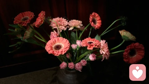 INFP是最让人误解的一个人格