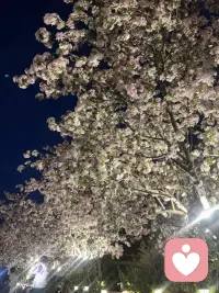 人生没有标准答案，
你也不必活成别人期待的样子。
先善待自己，再慢慢前行。配图