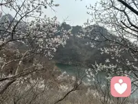 真正意义上值得聊天的就只有两类人
第一类，能够从对方身上获得新的信息学到东西，认知拉伸。
第二类，双方都真诚敞开像小孩子一样百无禁忌，这种流动感很补能量。配图