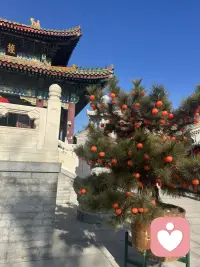 今日感受：你值得最好的。不要因为别人，伤害自己；不要因为心软，纵容伤害；更不要因为你愿意敞开心扉，就给了别人伤害你的机会。配图