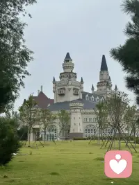 其实人不可能每一步都正确，选错了就选错了，别总是欺负以前的自己，他当时一个人 站在雾里也很迷茫！—一欧文•亚隆《一日浮生》配图