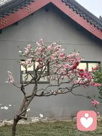 心理陪伴，不是替你解决问题，而是陪你找到自己的力量。