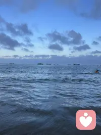 春风有信，花开有期。愿你卸下所有疲惫，如枝头新芽般自在舒展，如旷野清风般轻盈自由。新的一年，多爱自己一点，日子滚烫，人间可爱。