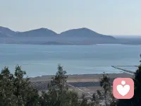 家人是港湾，不是枷锁
亲情是温暖，不是束缚
不被道德绑架，不被关系裹挟
好好爱他们，也好好放过自己