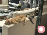 真正的治愈，
不是回到过去，
而是带着伤痕，
依然选择向前、热爱、相信。