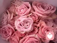 今日份5元钱的快乐🎉