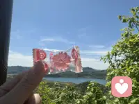 别人的认可，是最廉价的枷锁。你喜欢的样子，无需他人认同。