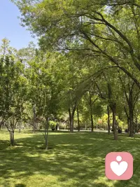 允许一切发生，也允许自己重新开始，内心丰盈，永远向阳，生命力自会生生不息。配图