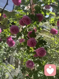 停止脑内循环，行动治愈焦虑。想一万次，不如做一次。慢慢来，一切都来得及🌿 #拒绝内耗 #行动的力量配图
