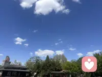 完成一场自我救赎：
1、高敏感不是你的错，拒绝任何人贴的标签。
2、思前想后想不通，不如拐个弯，只想五分钟，转移注意力。
3、每天为自己的心理能量储值，晒太阳、追剧、散步……尝试任何能让你高兴的事情。配图