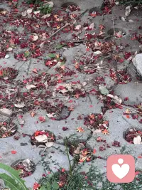 焦虑不是洪水猛兽，它只是身体在提醒你：该停下来关照自己了。学会疏导，而非对抗。