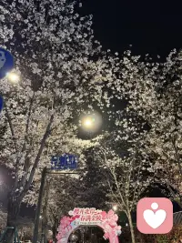 有时，找个地方安静的待会，看看风景也好配图