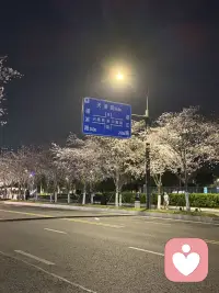 有时，找个地方安静的待会，看看风景也好配图