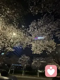 有时，找个地方安静的待会，看看风景也好配图