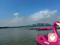 不内耗，不纠结，做内心强大的自己，不被情绪左右，心有山海，自在如风。