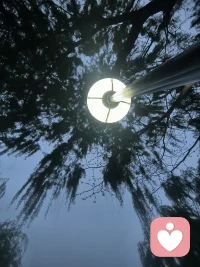 生活不是方程式无解，需要我们一步一步的去探索去发现去感受。或许有些小失望，但是总有向阳而生的笑脸配图