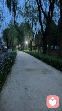 生活不是方程式无解，需要我们一步一步的去探索去发现去感受。或许有些小失望，但是总有向阳而生的笑脸配图