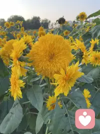 有些话，说出来就轻了。我听，你慢慢说。配图